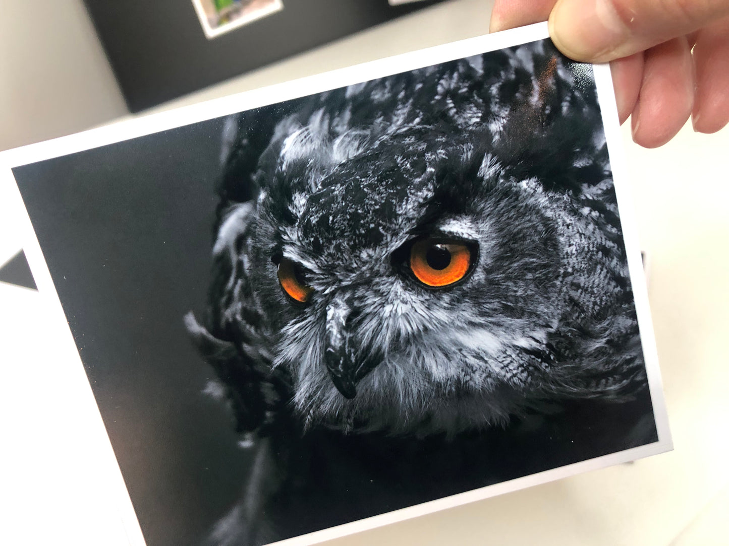 Photo Magnets