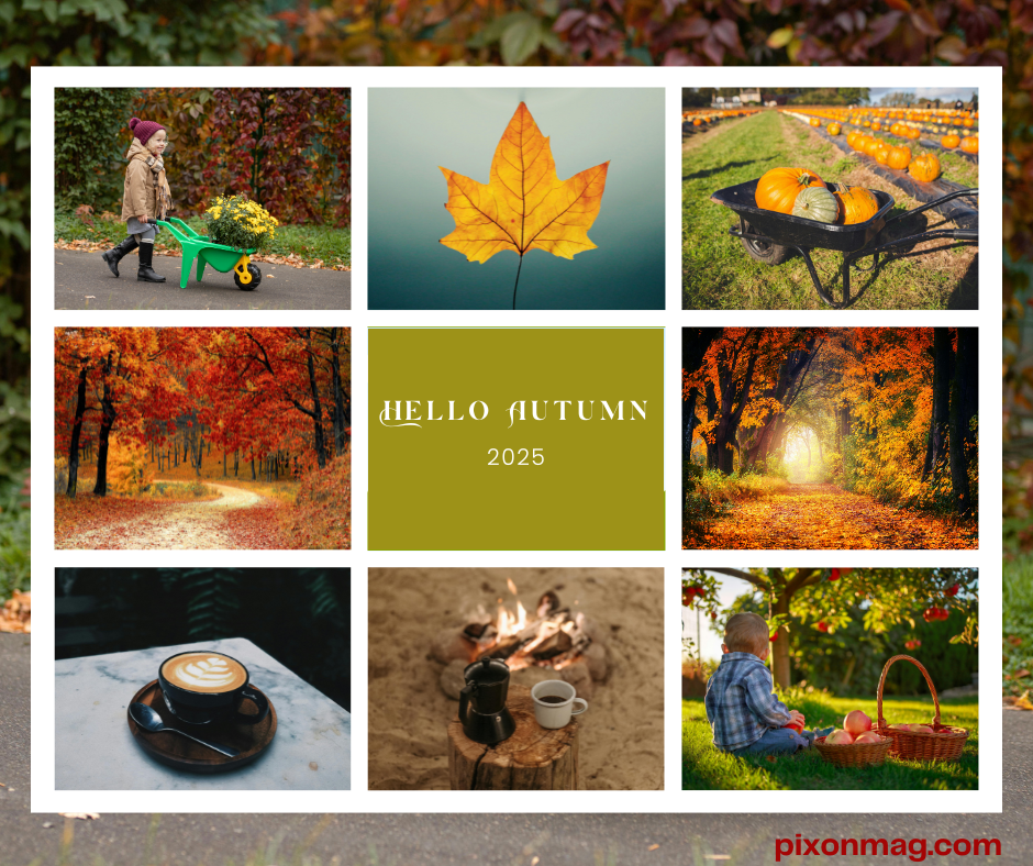 Mood Boards